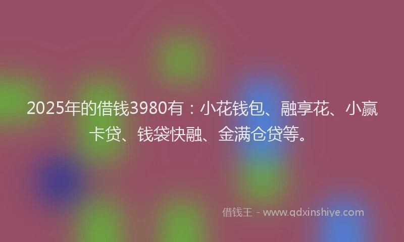 2025年的借钱3980有：小花钱包、融享花、小赢卡贷、钱袋快融、金满仓贷等。