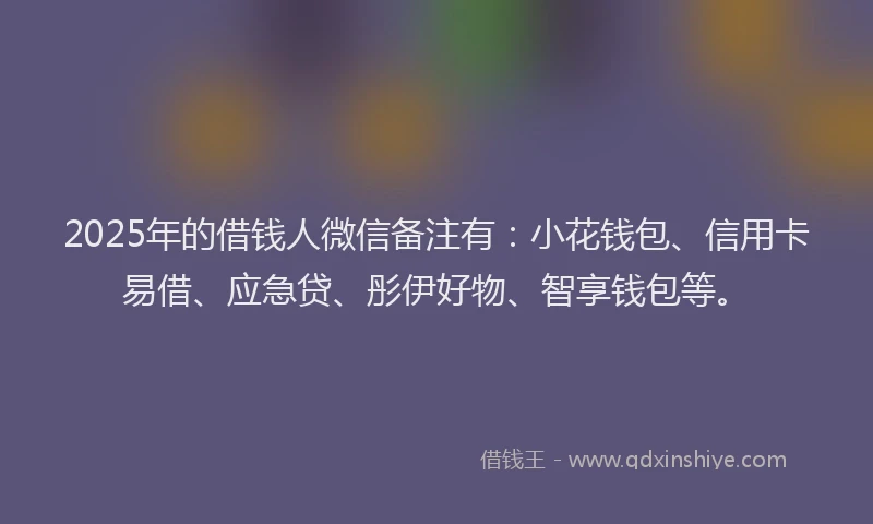 2025年的借钱人微信备注有：小花钱包、信用卡易借、应急贷、彤伊好物、智享钱包等。