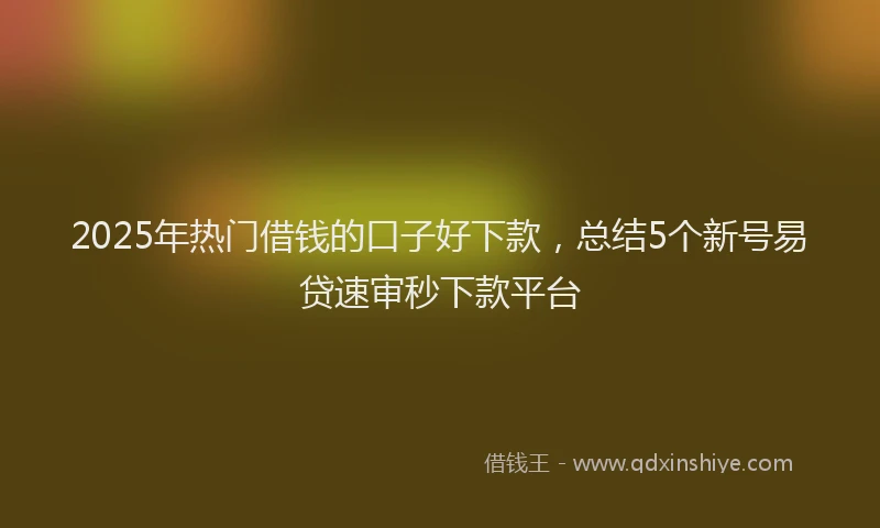 2025年热门借钱的口子好下款，总结5个新号易贷速审秒下款平台