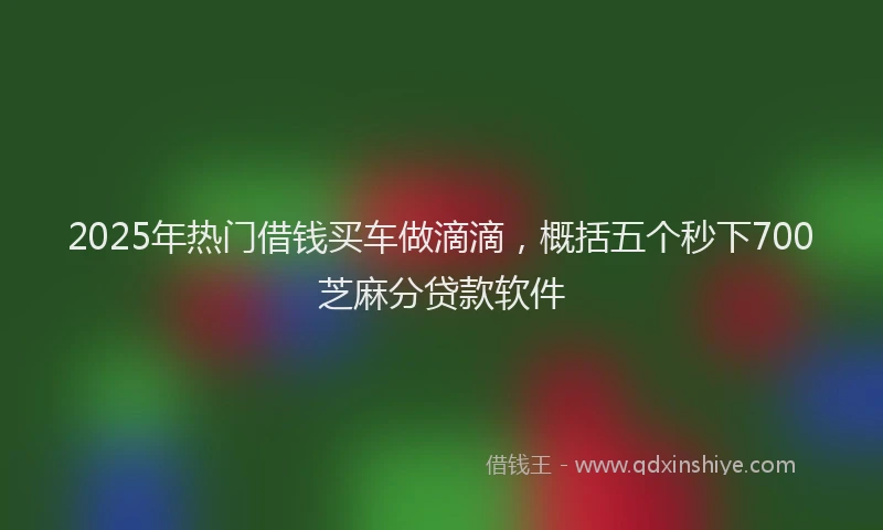 2025年热门借钱买车做滴滴，概括五个秒下700芝麻分贷款软件
