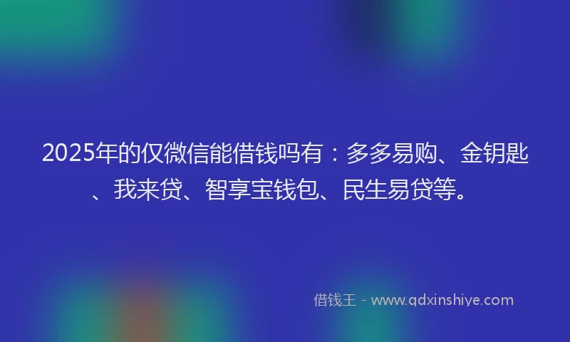 2025年的仅微信能借钱吗有：多多易购、金钥匙、我来贷、智享宝钱包、民生易贷等。