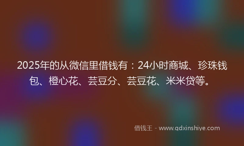 2025年的从微信里借钱有：24小时商城、珍珠钱包、橙心花、芸豆分、芸豆花、米米贷等。