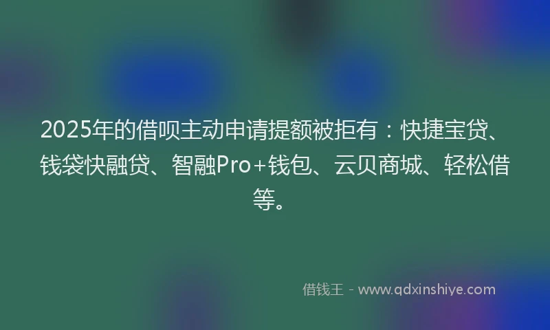 2025年的借呗主动申请提额被拒有：快捷宝贷、钱袋快融贷、智融Pro+钱包、云贝商城、轻松借等。