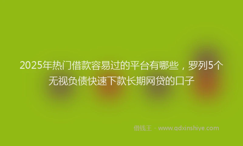 2025年热门借款容易过的平台有哪些，罗列5个无视负债快速下款长期网贷的口子