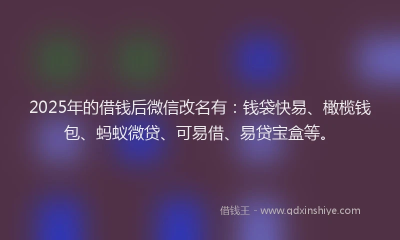 2025年的借钱后微信改名有：钱袋快易、橄榄钱包、蚂蚁微贷、可易借、易贷宝盒等。