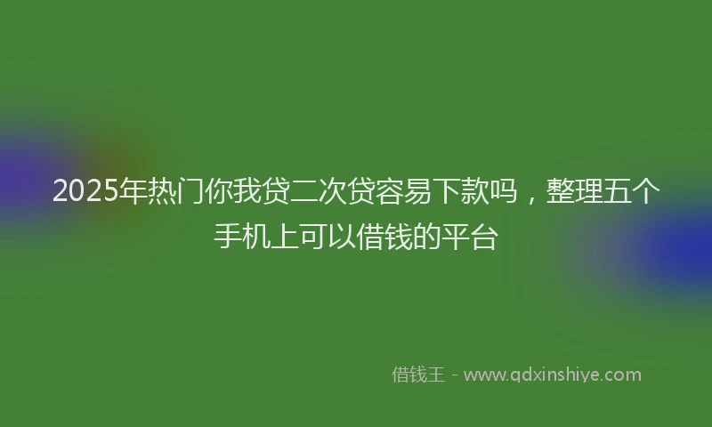 2025年热门你我贷二次贷容易下款吗，整理五个手机上可以借钱的平台