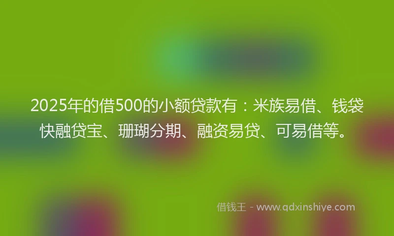 2025年的借500的小额贷款有：米族易借、钱袋快融贷宝、珊瑚分期、融资易贷、可易借等。
