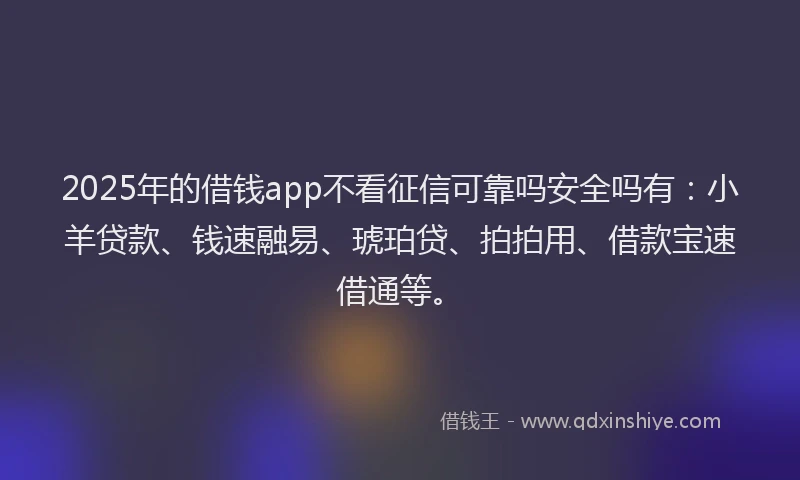 2025年的借钱app不看征信可靠吗安全吗有：小羊贷款、钱速融易、琥珀贷、拍拍用、借款宝速借通等。