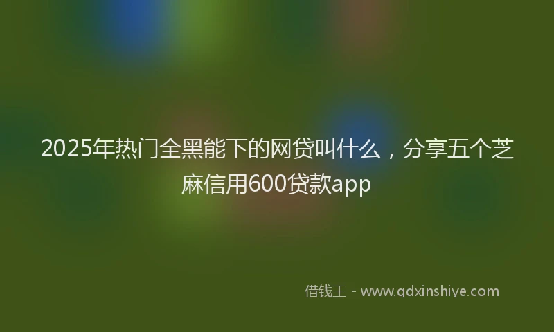 2025年热门全黑能下的网贷叫什么，分享五个芝麻信用600贷款app