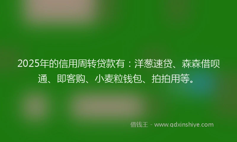 2025年的信用周转贷款有：洋葱速贷、森森借呗通、即客购、小麦粒钱包、拍拍用等。