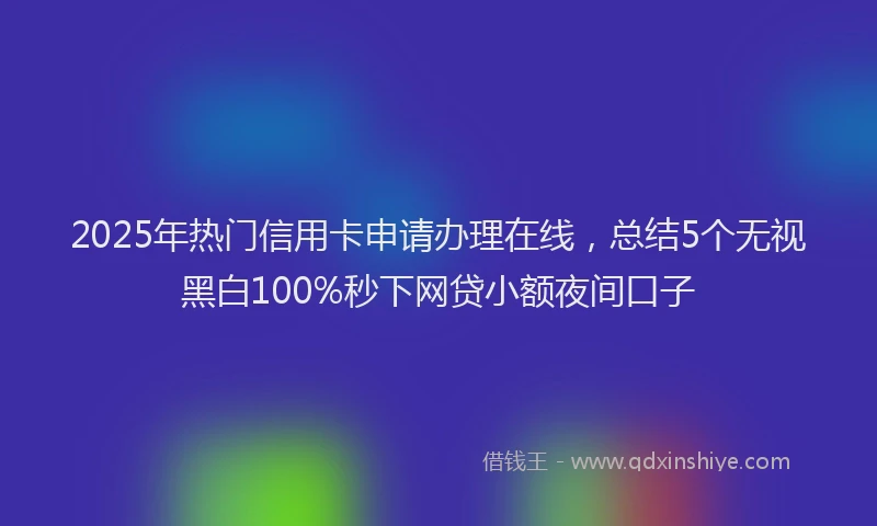 2025年热门信用卡申请办理在线，总结5个无视黑白100%秒下网贷小额夜间口子