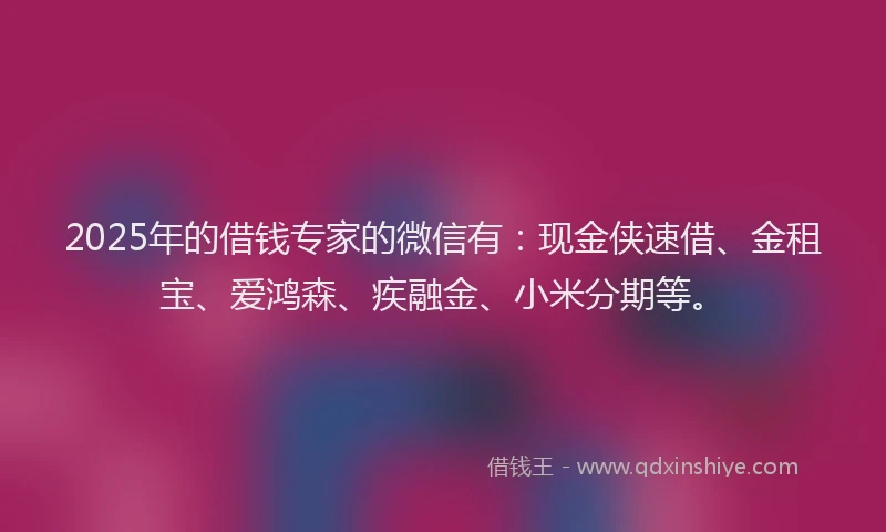 2025年的借钱专家的微信有：现金侠速借、金租宝、爱鸿森、疾融金、小米分期等。