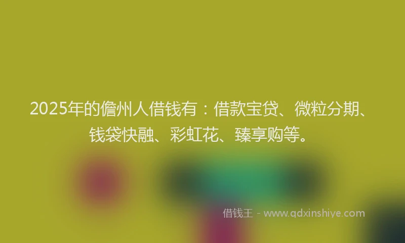 2025年的儋州人借钱有：借款宝贷、微粒分期、钱袋快融、彩虹花、臻享购等。