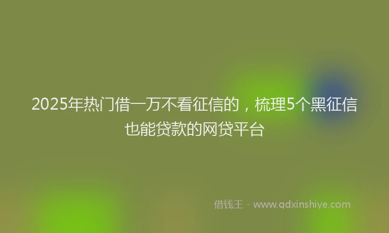 2025年热门借一万不看征信的，梳理5个黑征信也能贷款的网贷平台