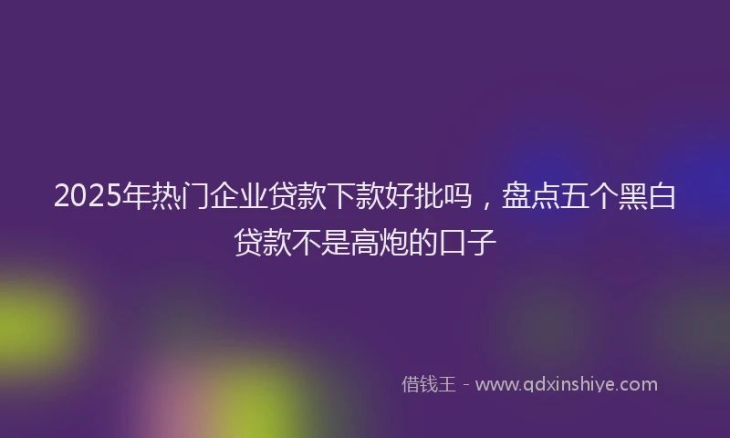 2025年热门企业贷款下款好批吗，盘点五个黑白贷款不是高炮的口子