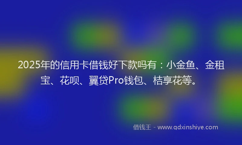 2025年的信用卡借钱好下款吗有：小金鱼、金租宝、花呗、翼贷Pro钱包、桔享花等。