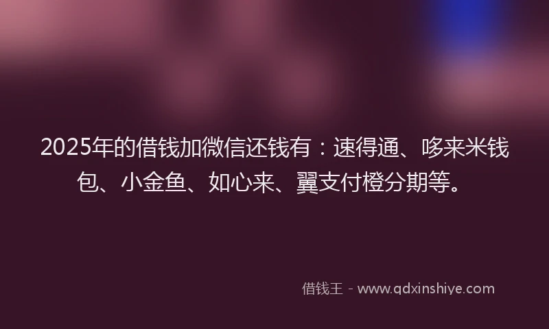 2025年的借钱加微信还钱有：速得通、哆来米钱包、小金鱼、如心来、翼支付橙分期等。