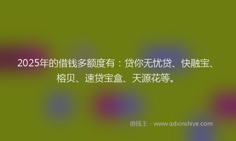 2025年的借钱多额度有：贷你无忧贷、快融宝、榕贝、速贷宝盒、天源花等。