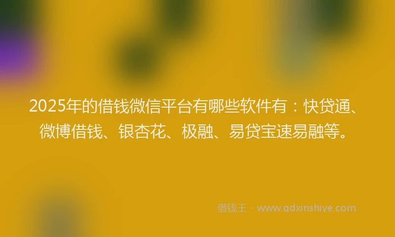 2025年的借钱微信平台有哪些软件有：快贷通、微博借钱、银杏花、极融、易贷宝速易融等。