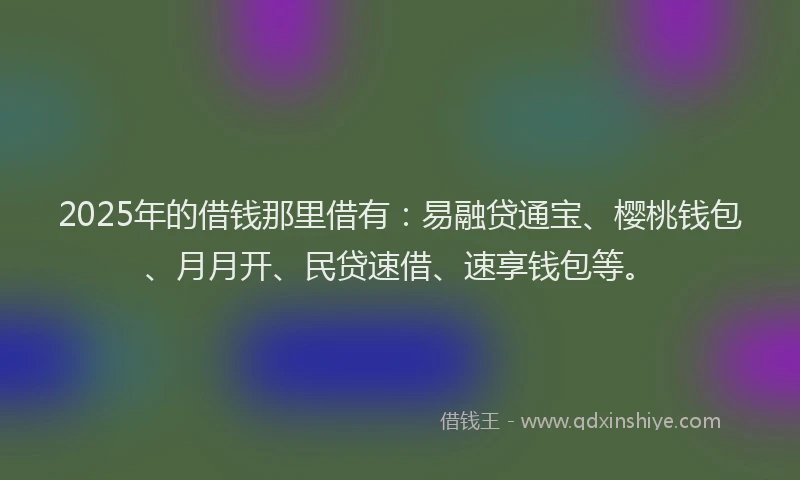2025年的借钱那里借有：易融贷通宝、樱桃钱包、月月开、民贷速借、速享钱包等。