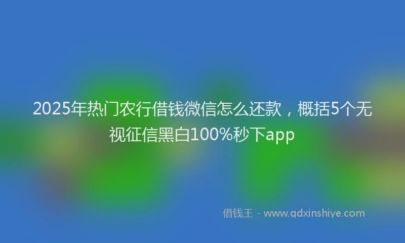 2025年热门农行借钱微信怎么还款，概括5个无视征信黑白100%秒下app