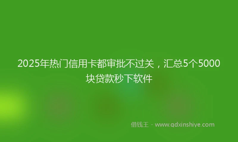 2025年热门信用卡都审批不过关，汇总5个5000块贷款秒下软件
