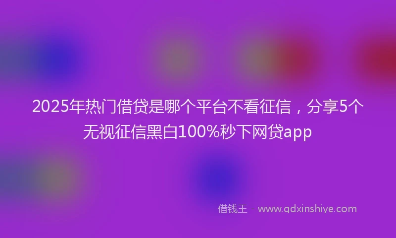 2025年热门借贷是哪个平台不看征信，分享5个无视征信黑白100%秒下网贷app