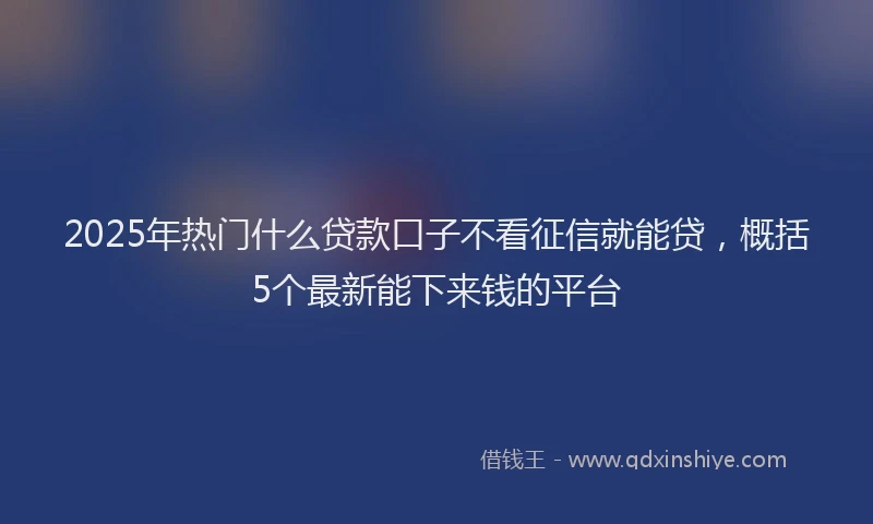2025年热门什么贷款口子不看征信就能贷，概括5个最新能下来钱的平台
