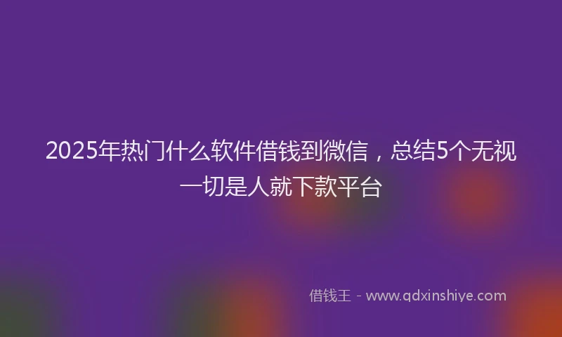 2025年热门什么软件借钱到微信，总结5个无视一切是人就下款平台