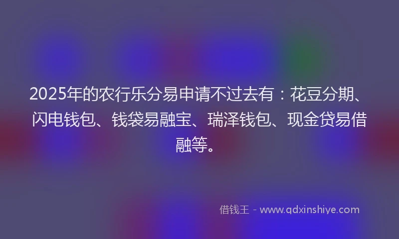 2025年的农行乐分易申请不过去有：花豆分期、闪电钱包、钱袋易融宝、瑞泽钱包、现金贷易借融等。