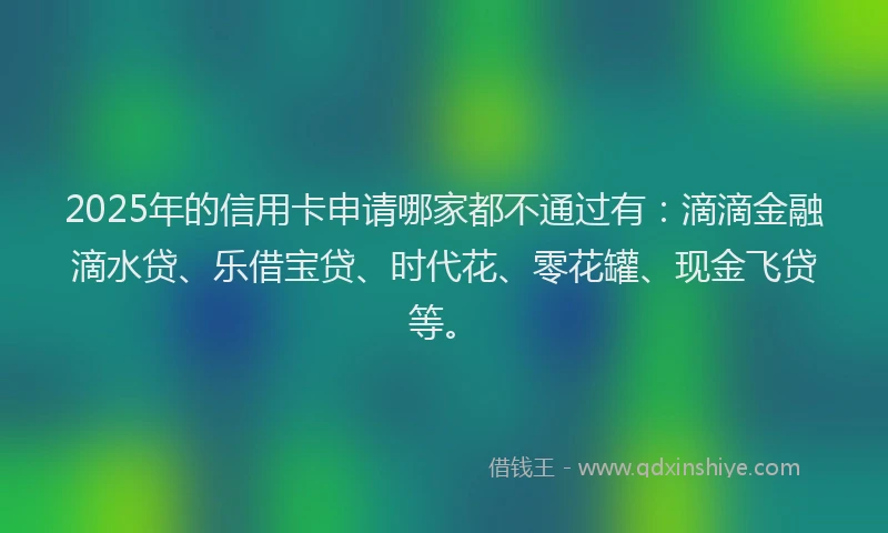 2025年的信用卡申请哪家都不通过有：滴滴金融滴水贷、乐借宝贷、时代花、零花罐、现金飞贷等。