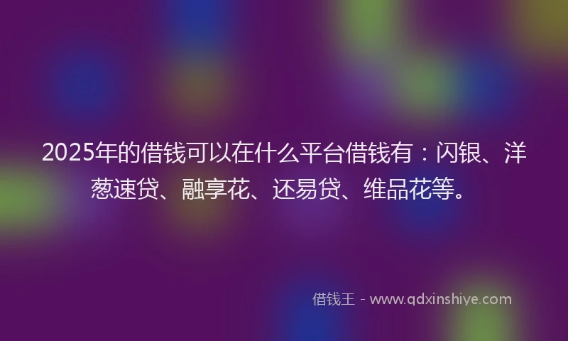 2025年的借钱可以在什么平台借钱有：闪银、洋葱速贷、融享花、还易贷、维品花等。