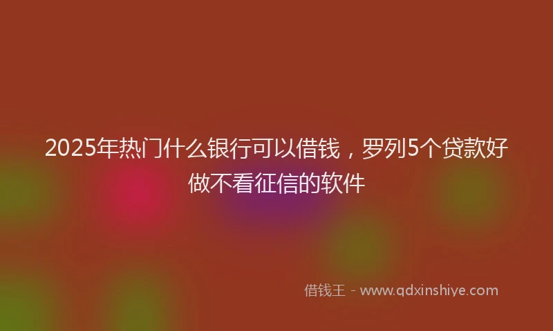 2025年热门什么银行可以借钱，罗列5个贷款好做不看征信的软件