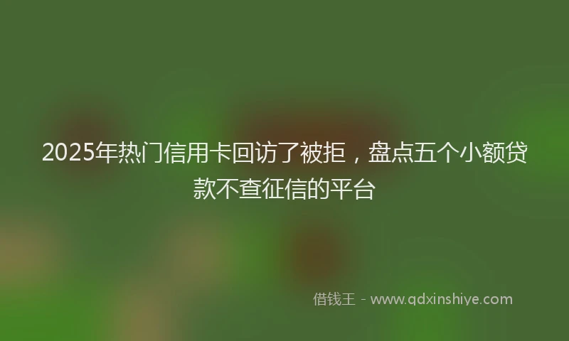 2025年热门信用卡回访了被拒，盘点五个小额贷款不查征信的平台