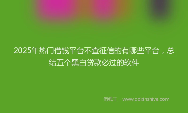 2025年热门借钱平台不查征信的有哪些平台，总结五个黑白贷款必过的软件