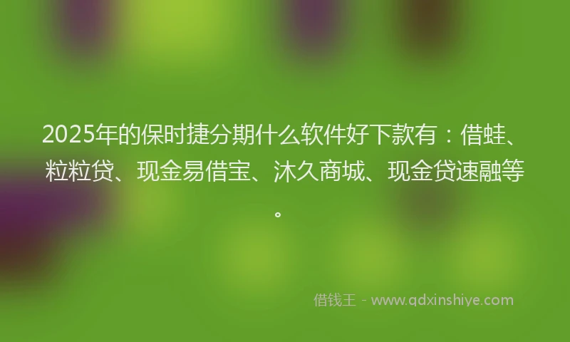 2025年的保时捷分期什么软件好下款有：借蛙、粒粒贷、现金易借宝、沐久商城、现金贷速融等。