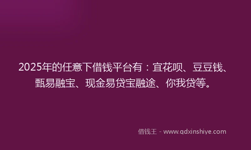 2025年的任意下借钱平台有：宜花呗、豆豆钱、甄易融宝、现金易贷宝融途、你我贷等。