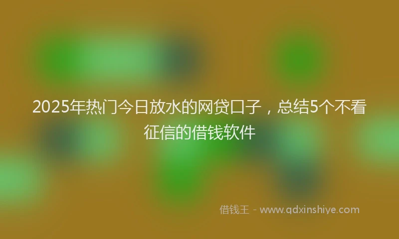 2025年热门今日放水的网贷口子，总结5个不看征信的借钱软件