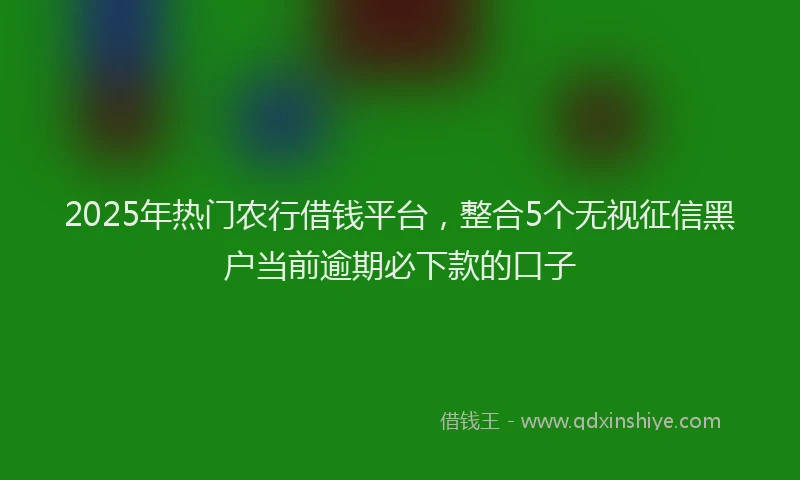 2025年热门农行借钱平台，整合5个无视征信黑户当前逾期必下款的口子