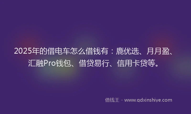 2025年的借电车怎么借钱有：鹿优选、月月盈、汇融Pro钱包、借贷易行、信用卡贷等。