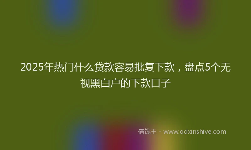 2025年热门什么贷款容易批复下款，盘点5个无视黑白户的下款口子