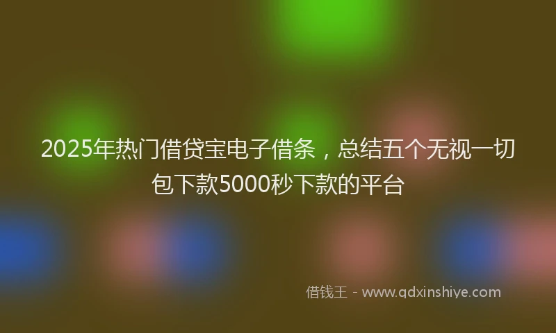 2025年热门借贷宝电子借条，总结五个无视一切包下款5000秒下款的平台