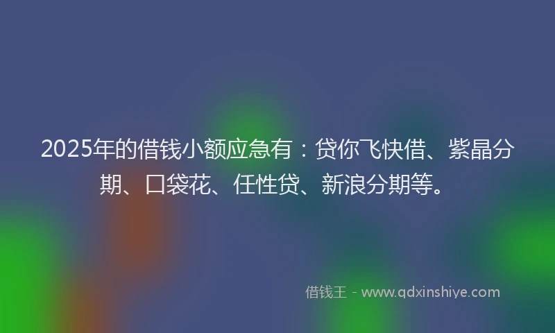 2025年的借钱小额应急有：贷你飞快借、紫晶分期、口袋花、任性贷、新浪分期等。
