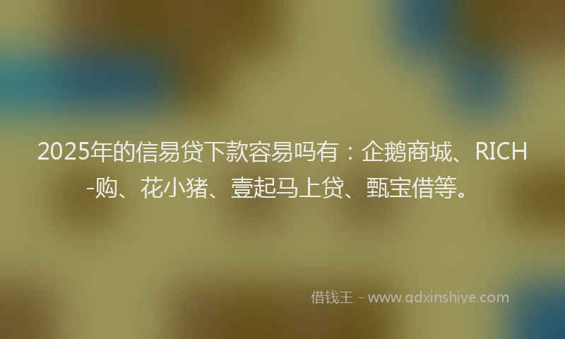 2025年的信易贷下款容易吗有：企鹅商城、RICH-购、花小猪、壹起马上贷、甄宝借等。