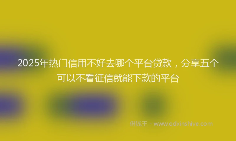 2025年热门信用不好去哪个平台贷款，分享五个可以不看征信就能下款的平台