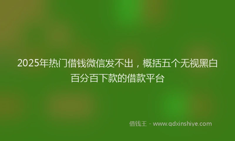 2025年热门借钱微信发不出，概括五个无视黑白百分百下款的借款平台