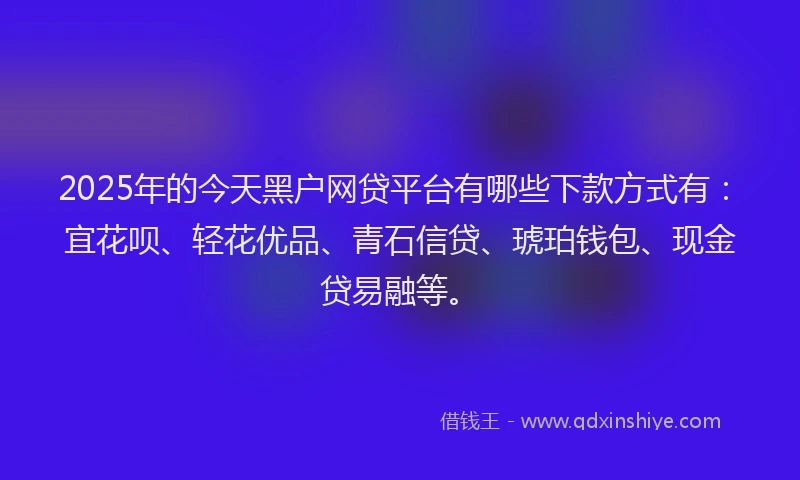 2025年的今天黑户网贷平台有哪些下款方式有：宜花呗、轻花优品、青石信贷、琥珀钱包、现金贷易融等。