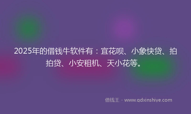 2025年的借钱牛软件有：宜花呗、小象快贷、拍拍贷、小安租机、天小花等。