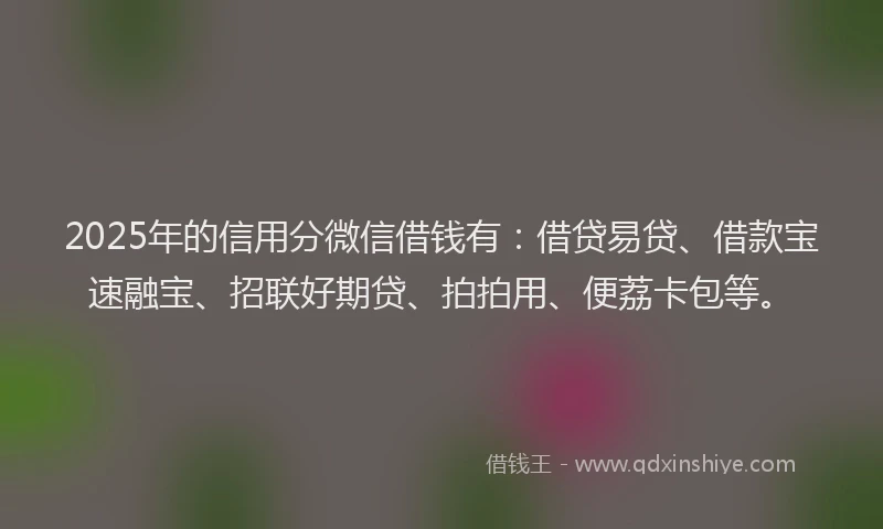 2025年的信用分微信借钱有：借贷易贷、借款宝速融宝、招联好期贷、拍拍用、便荔卡包等。