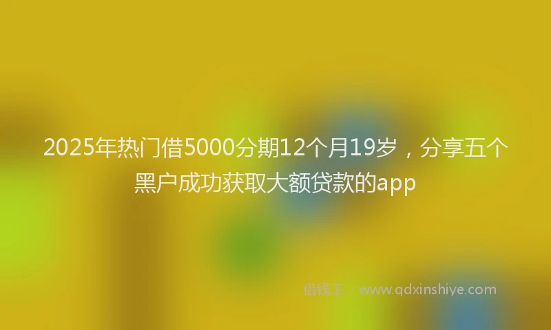 2025年热门借5000分期12个月19岁，分享五个黑户成功获取大额贷款的app